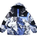 The north face jacket