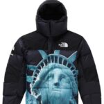 The north face x supreme jacket