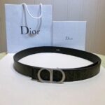 Dior belt