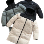 The north face jacket