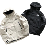 The north face jacket