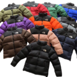 The north face jacket