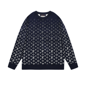 Louis vuitton hoodie