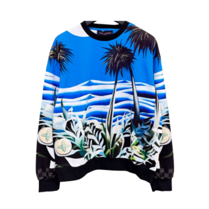 Louis vuitton hoodie