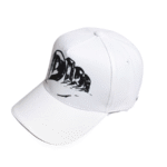 Dior cap