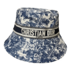 Dior cap
