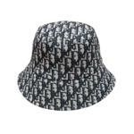 Dior cap