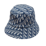 Dior cap