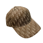 Dior cap