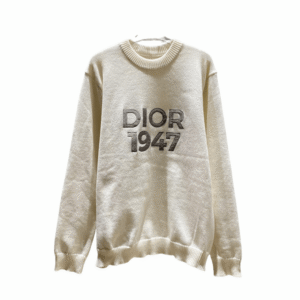 Dior hoodie