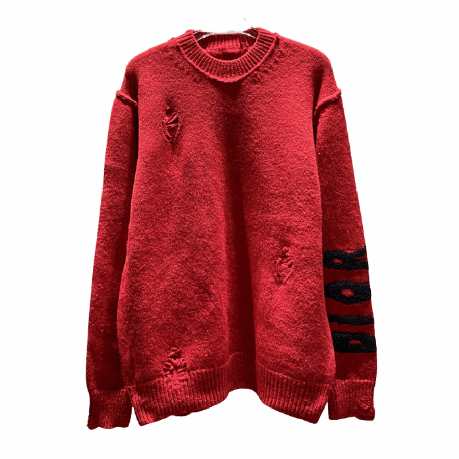 LIVIAN FUNDOS - 2025-06-27T172025.927 Dior hoodie - Image 1