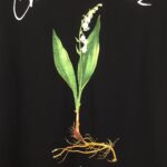 Dior t-shirt - Image 2