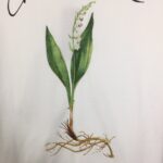 Dior t-shirt - Image 2