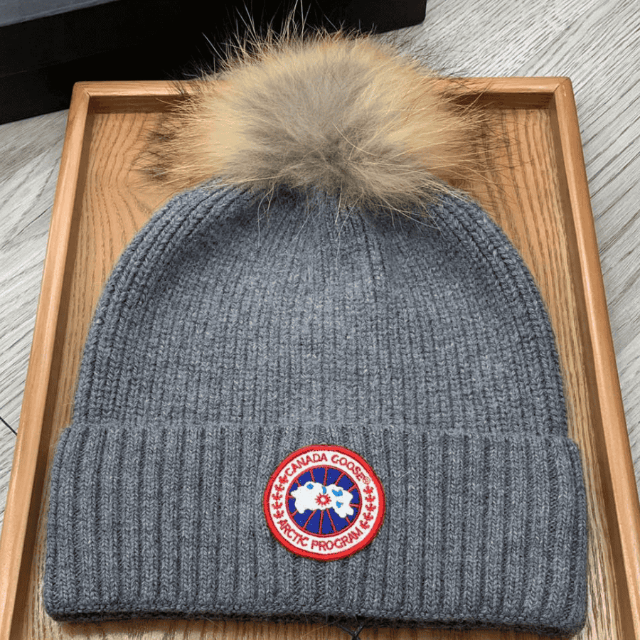 LIVIAN FUNDOS (9) Canada goose beanie - Image 1